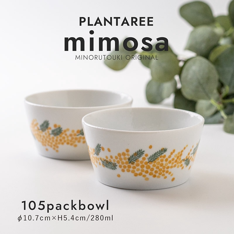 PLANTAREE-mimosa- 105パックボウル