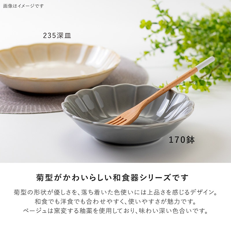 いつか 170鉢