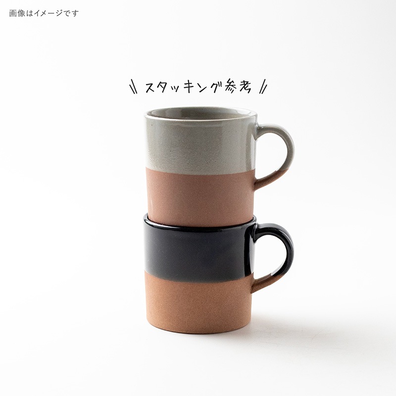 マダカスカル産　珍品ゾウムシ　21mm マダカスカル産 珍品ゾウムシ 21mm マダカスカル産珍品ゾウムシ21mm