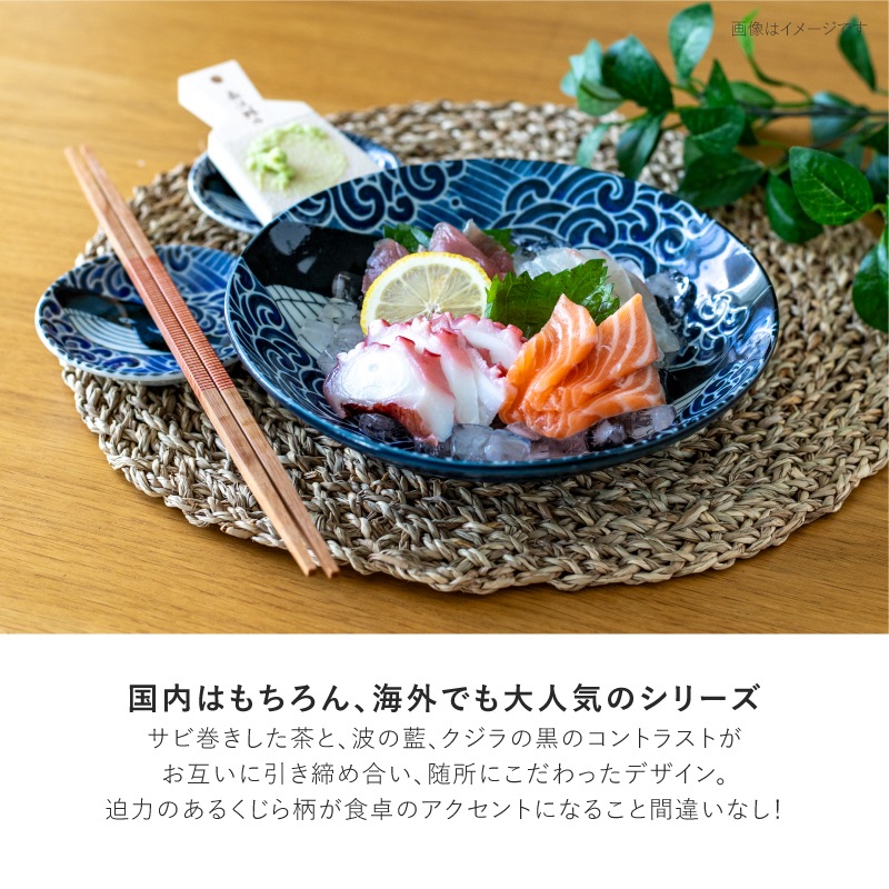 白波くじら 180鉢