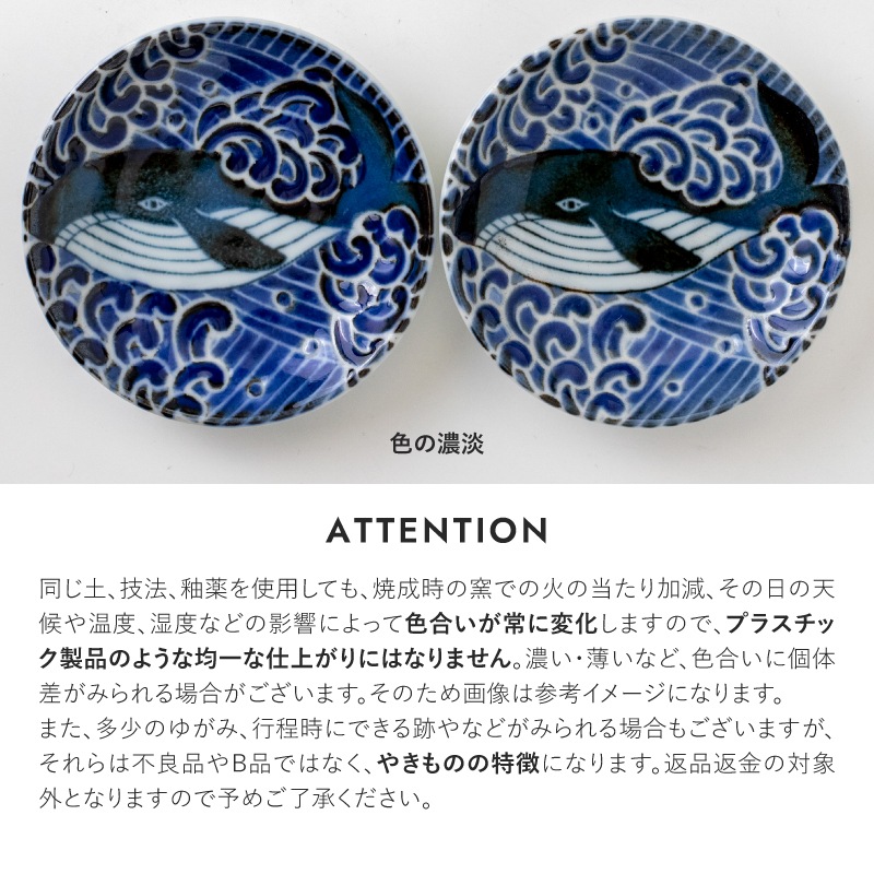 白波くじら 180鉢