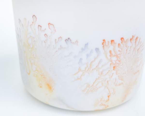 ����ͭ���� �⥫ �ե꡼���å� �ȿ�