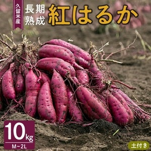 【減農薬】福岡県産紅はるか　土付き　2L大きいサイズ　規格外１０kg