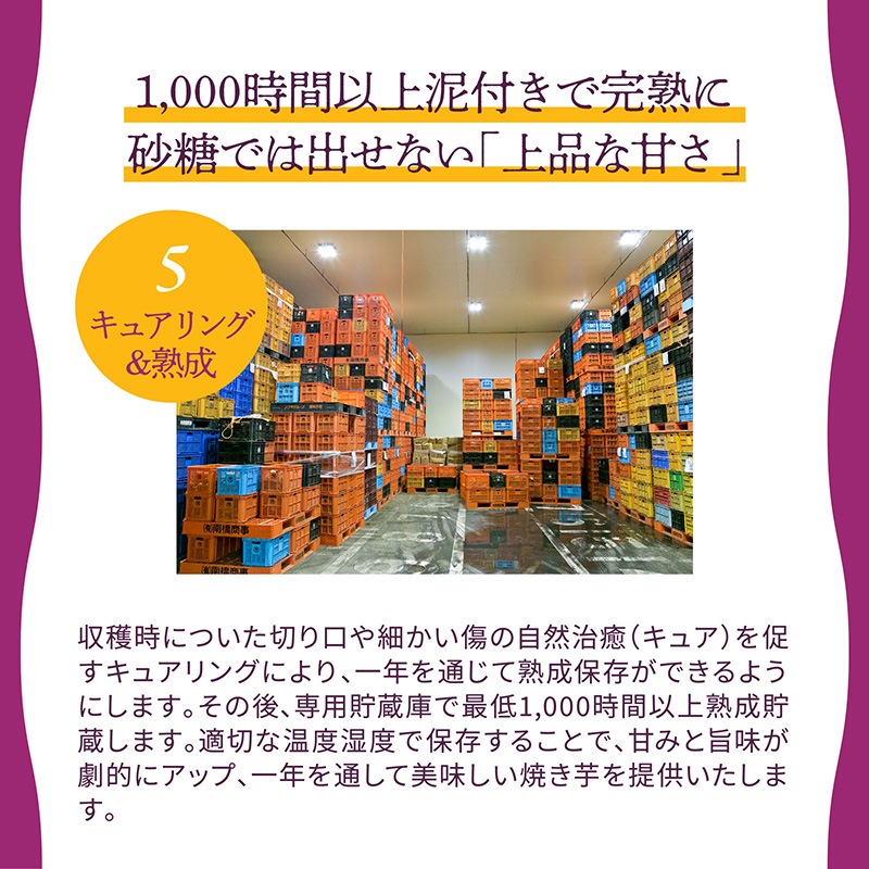 九州産熟成焼き芋3種食べ比べセット合計2.4ｋｇ以上（福岡、鹿児島、熊本の紅はるか）