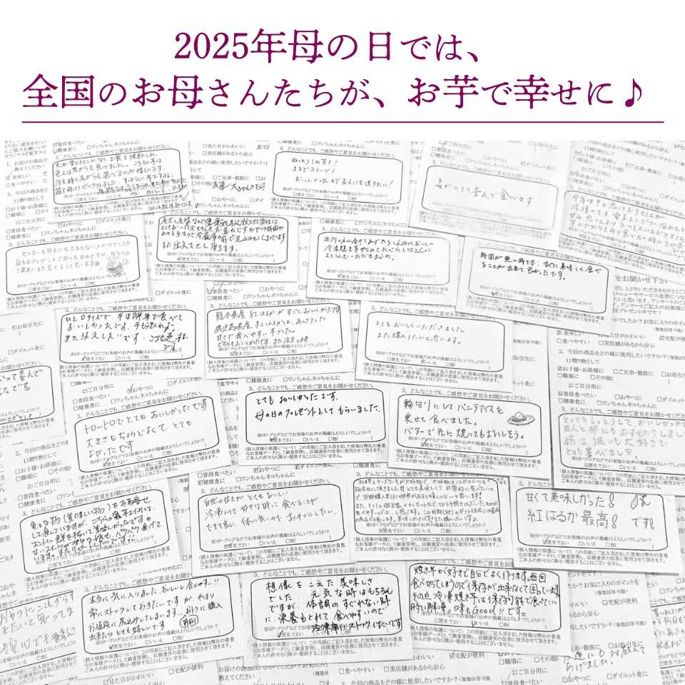 九州産熟成焼き芋3種食べ比べセット合計2.4ｋｇ以上（福岡、鹿児島、熊本の紅はるか）