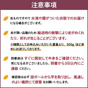 【減農薬】福岡県産紅はるか 規格外(小さい芋2S~S)10kg