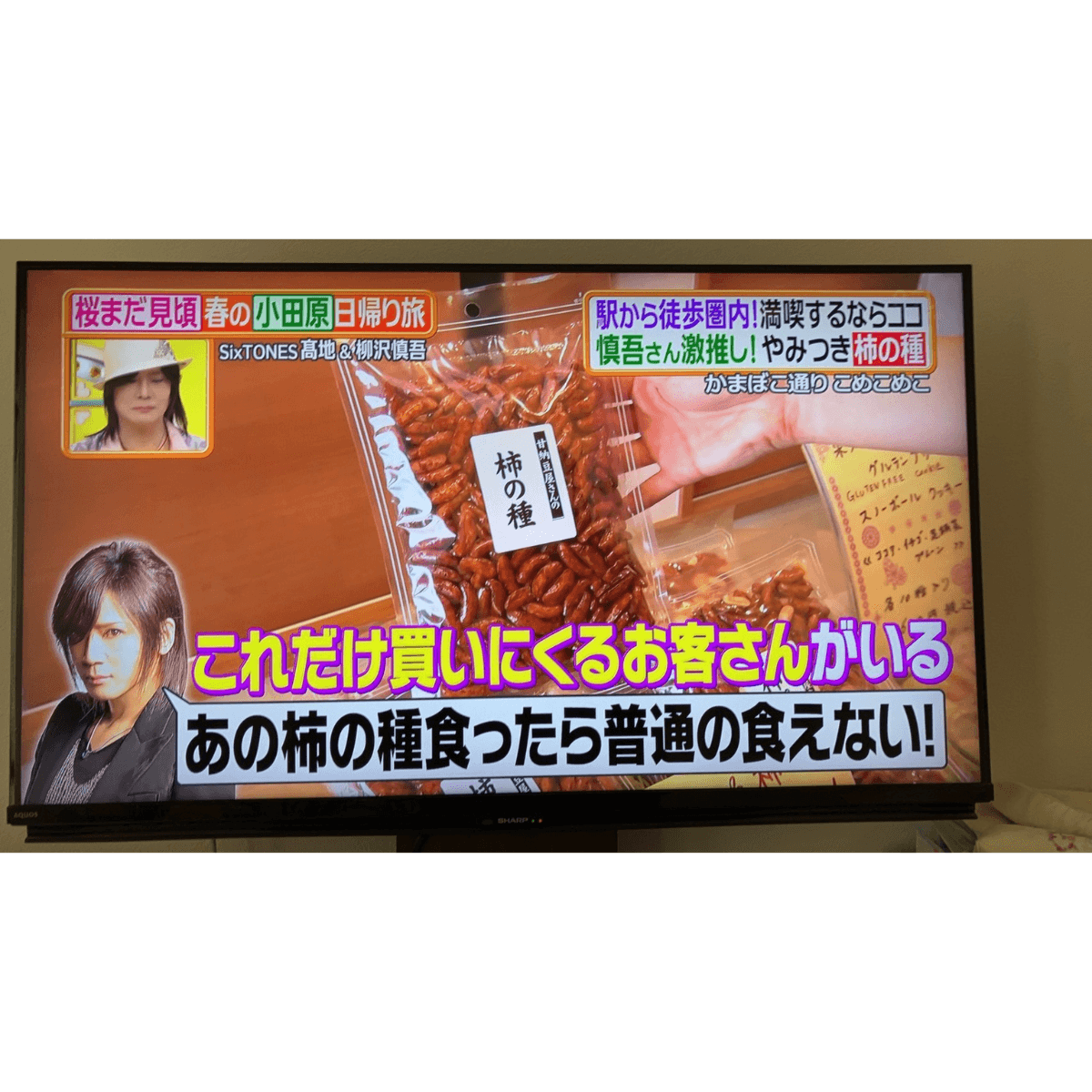 TV�֥ҥ�ʥ�ǥ����פǾҲ�<br>��ǼƦ������γ��ԡ�