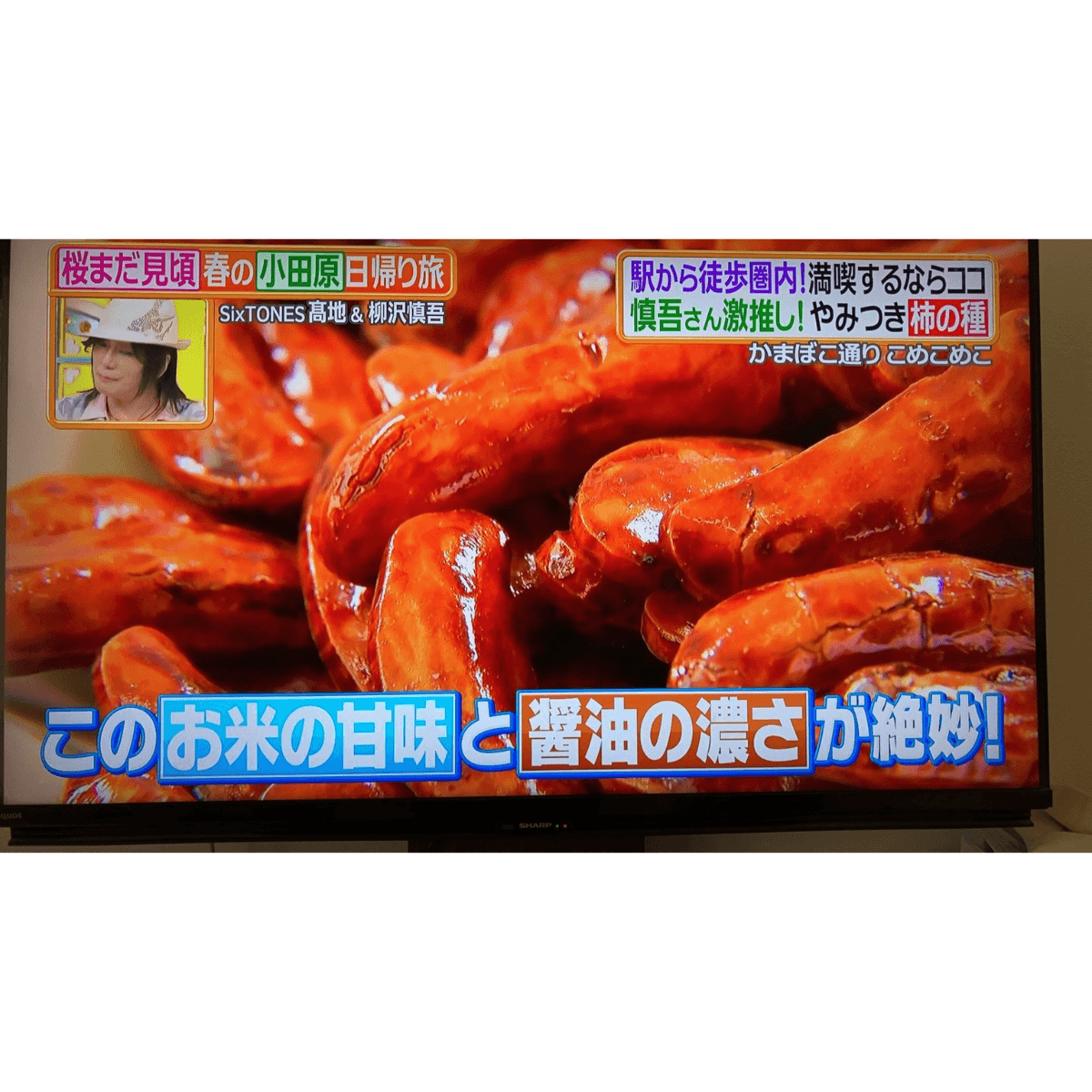 TV�֥ҥ�ʥ�ǥ����פǾҲ�<br>��ǼƦ������γ��ԡ�