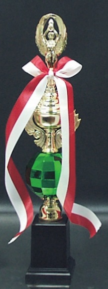 �ڥȥ��ե�����(35.5cm)��MT853-42