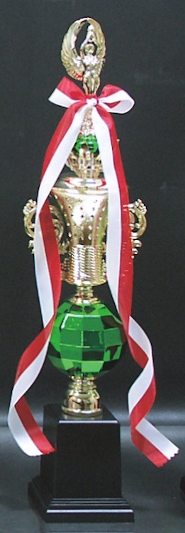 �ȥ��ե���(47.5cm)��MT856-44