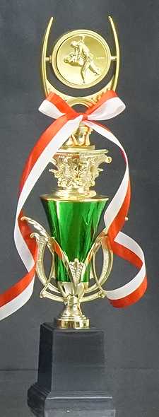 �ȥ��ե���(46.5cm�ˡ�MT516-44