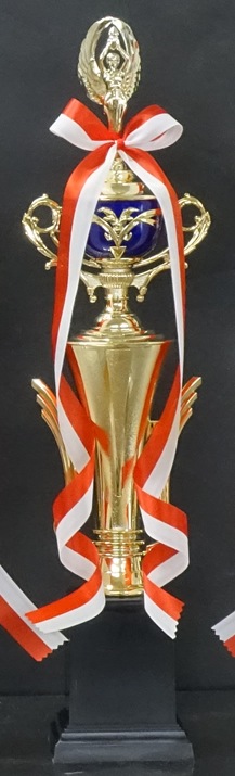 �ȥ��ե���(50.5cm���ġ�MT935-44