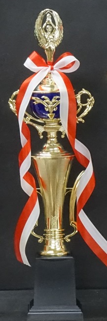 �ȥ��ե���(46.5cm���ġ�MT934-43