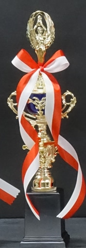 �ȥ��ե���(36.0cm���ġ�MT932-43