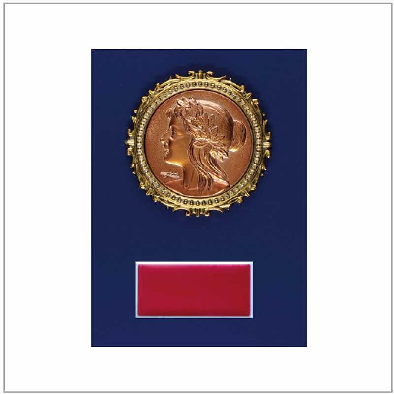 (⤵18.0cm13.5cm)ġMS846-33