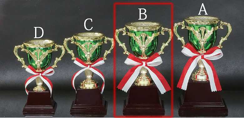 ͥ�����å�(����8.8cm�߹⤵20cm)��MC123-43