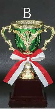 ͥ�����å�(����8.8cm�߹⤵20cm)��MC123-43