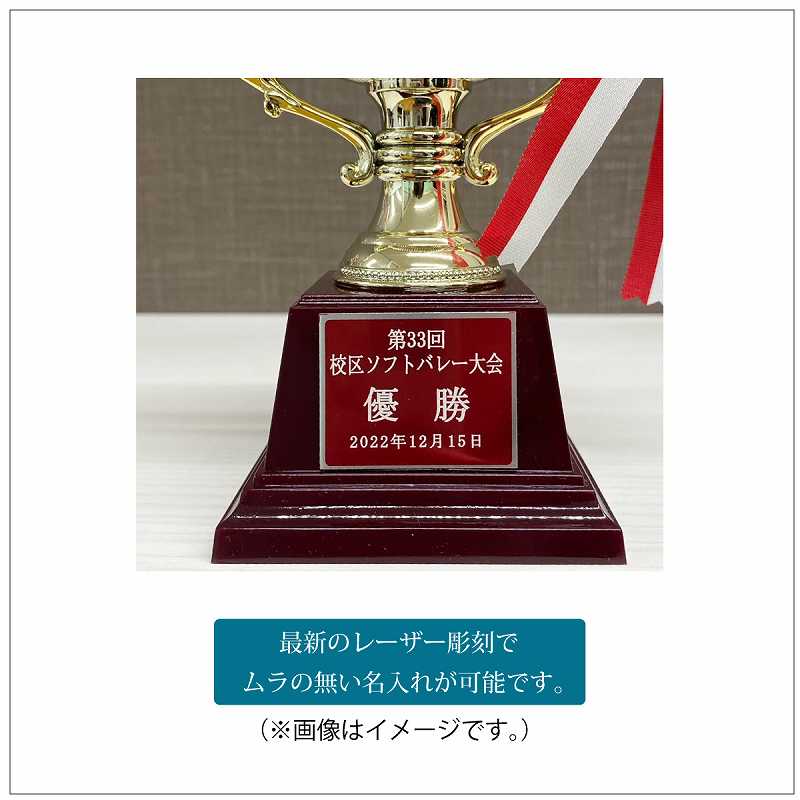 ͥ�����å�(����8.8cm�߹⤵20cm)��MC123-43