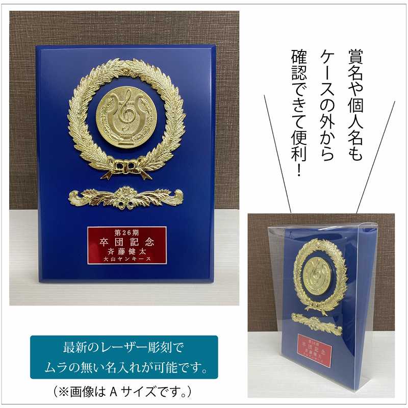 ��(�⤵21.0cm����15.0cm)�ġ�MS847-33