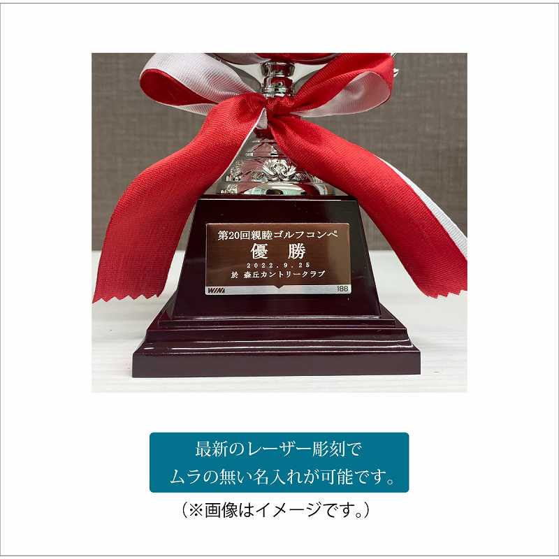 ͥ�����å�(����7.5cm�߹⤵14.5cm)��MC33-��188