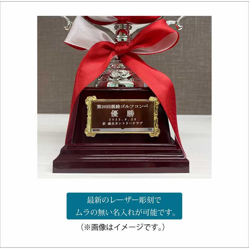 ͥ�����å�(����9.0cm�߹⤵16.5cm)��MC34-��188