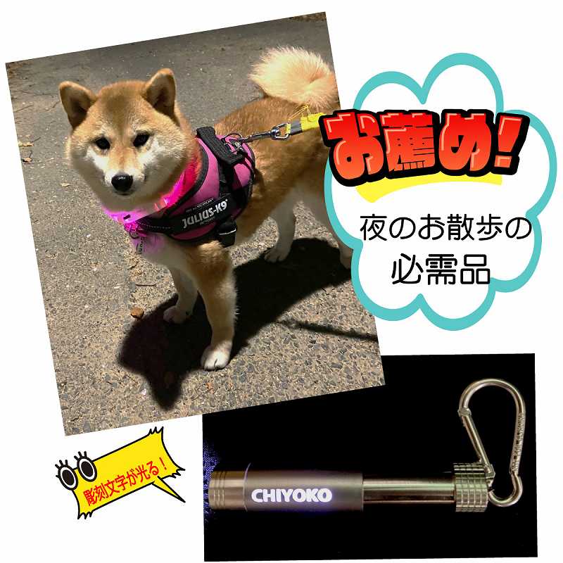 LED�饤�� MK06 ̾���� �����ۥ����