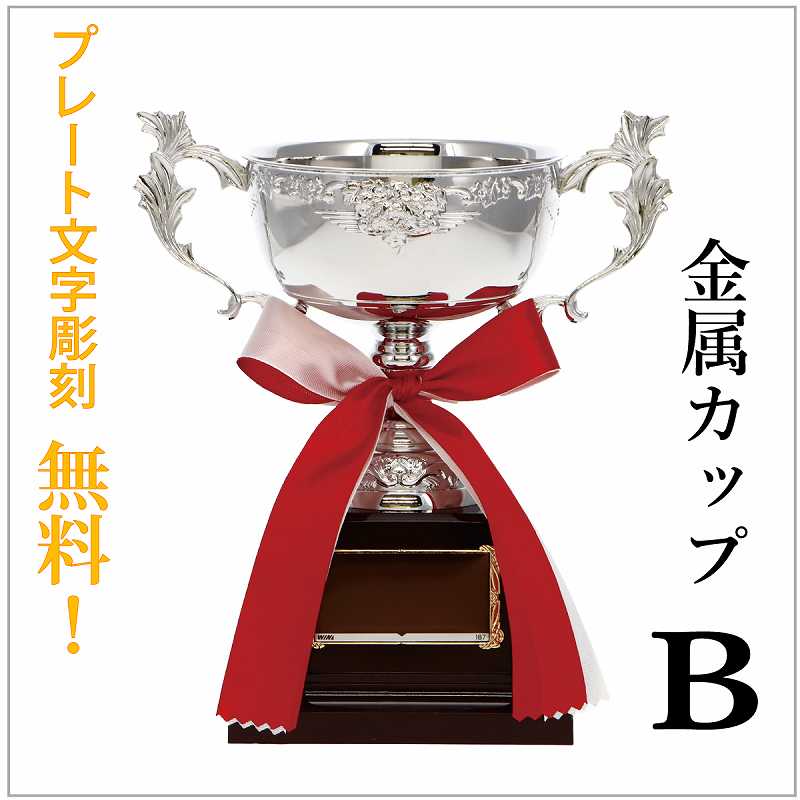 ͥ�����å�(����10.5cm�߹⤵19.5cm)��MC35-��187