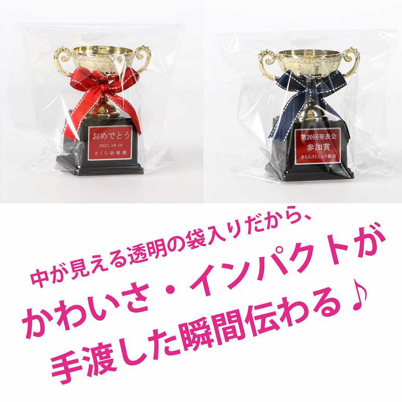 ����Ȣ�դ���å��������å� S (����5cm�߹⤵9cm) MC2- 41