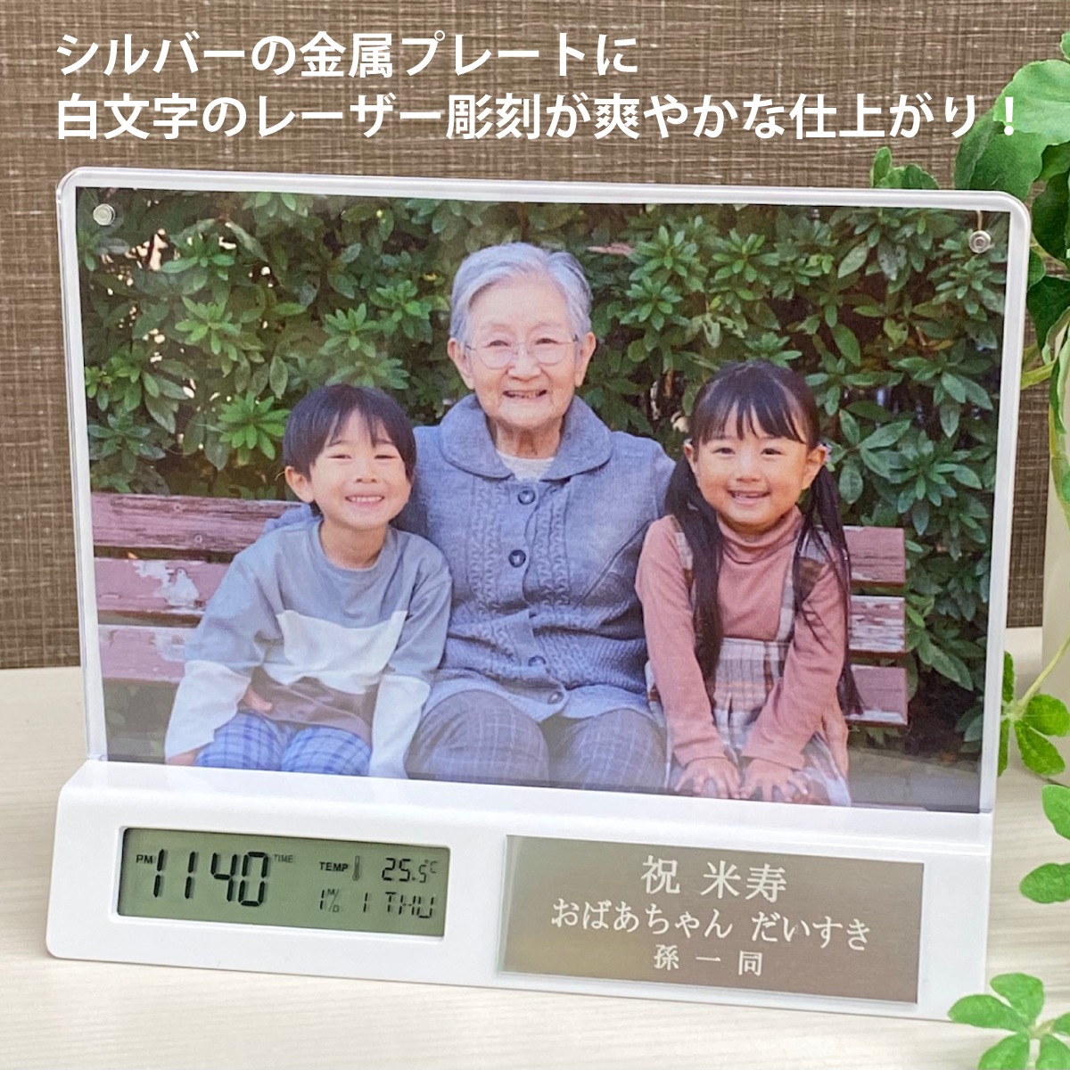 �ե��ȥե졼�९���å���M��MK01 -�����P