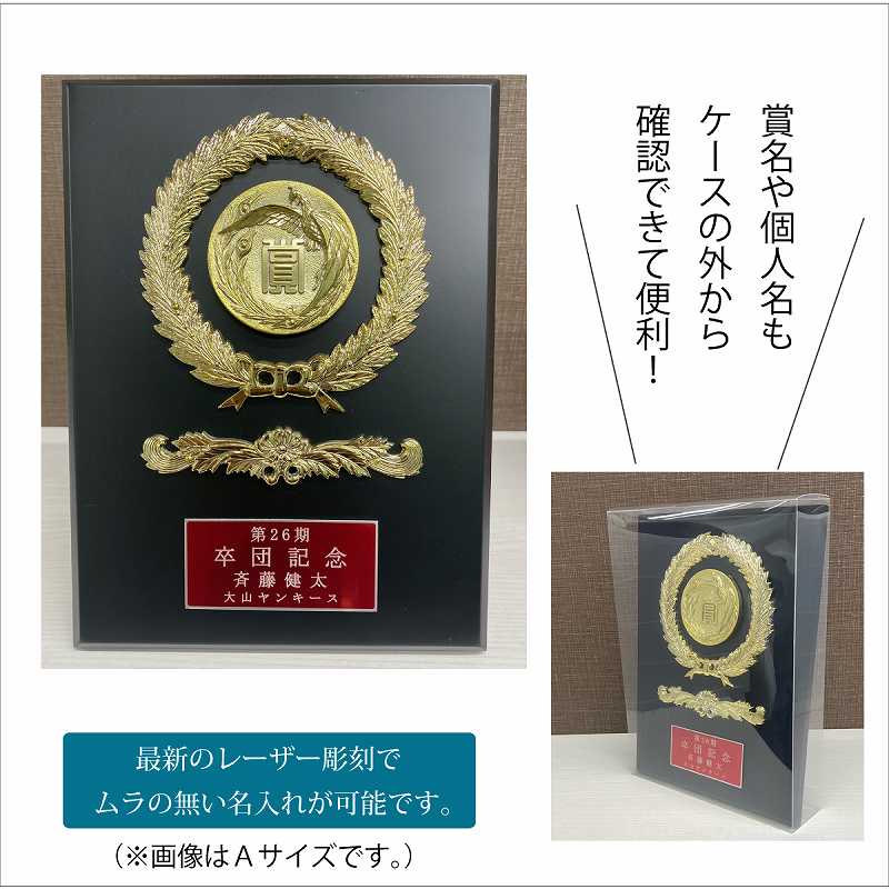 ��(�⤵21cm����15cm)����MS611-33