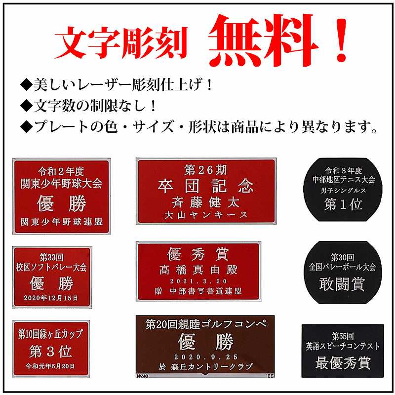 ��(�⤵12.5cm����9.3cm)��MS698-32