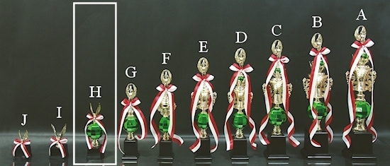 �ȥ��ե���(22cm)��MT851-42