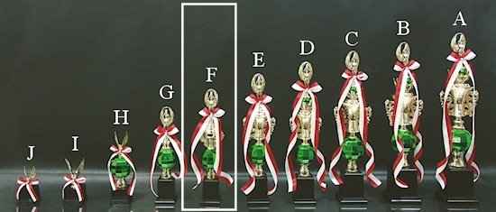 �ڥȥ��ե�����(35.5cm)��MT853-42