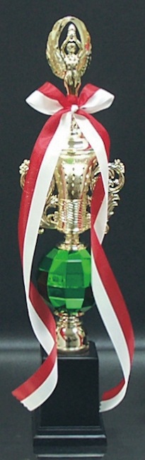 �ȥ��ե���(40cm)��MT854-43