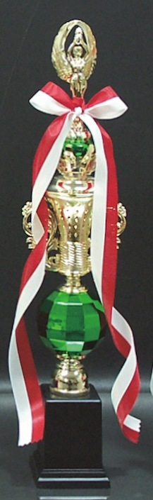 �ȥ��ե���(44.5cm)��MT855-43