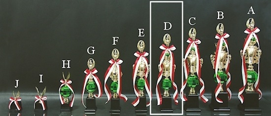 �ȥ��ե���(44.5cm)��MT855-43