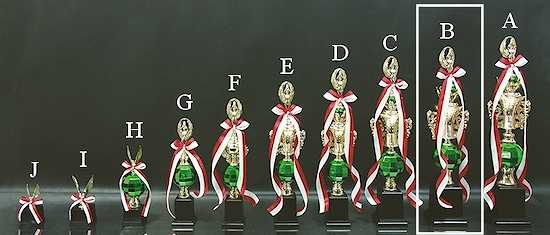 �ȥ��ե���(50.5cm)��MT857-44