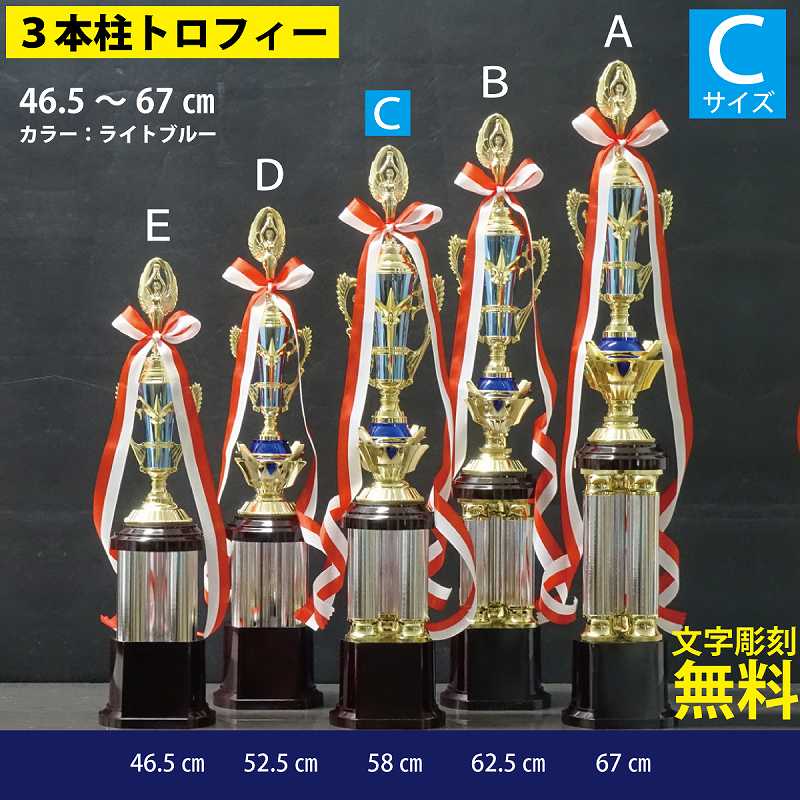 �ȥ��ե���(58cm����600g)�֥롼 MT192 -A107