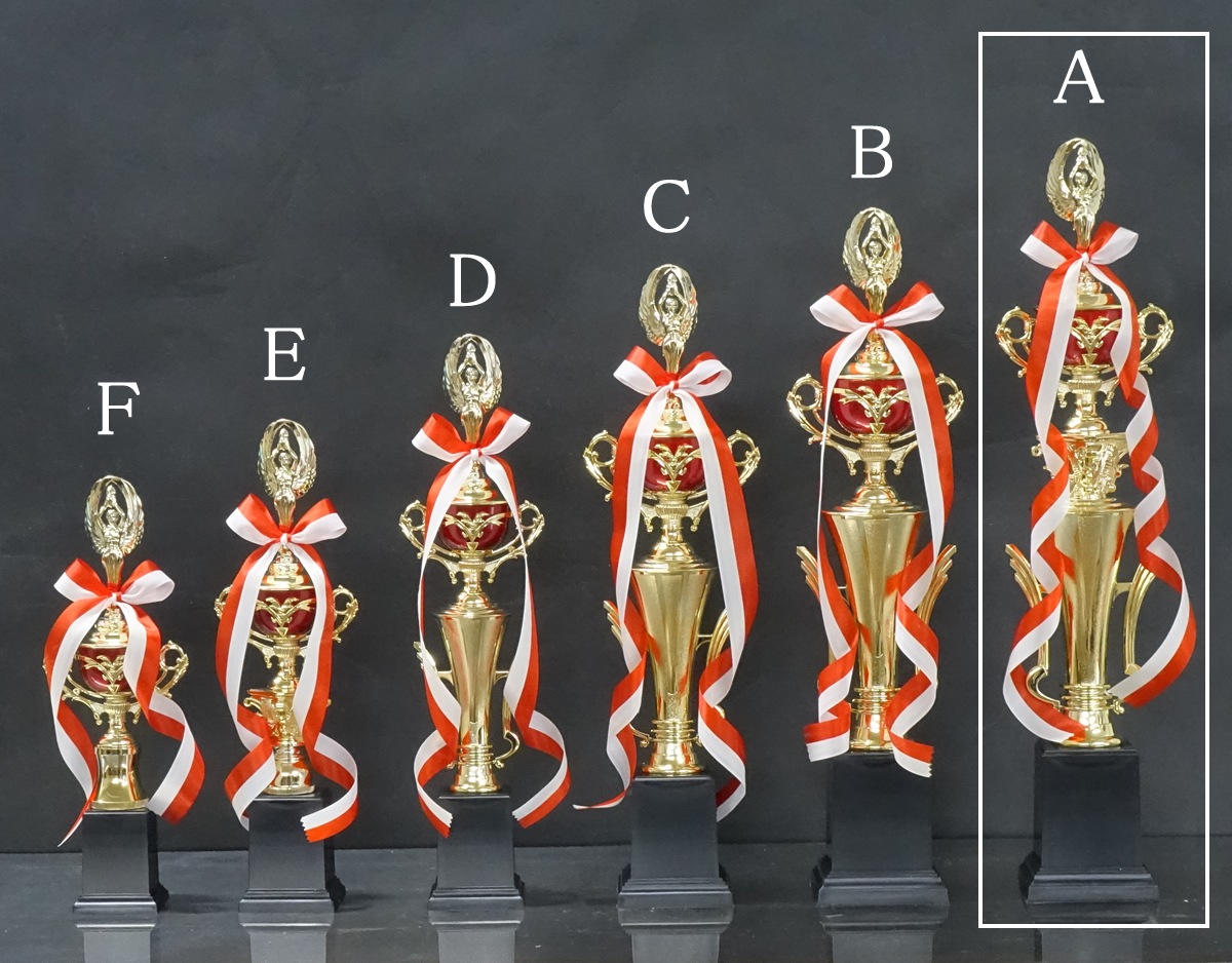 �ȥ��ե���(55.5cm���֡�MT926-44