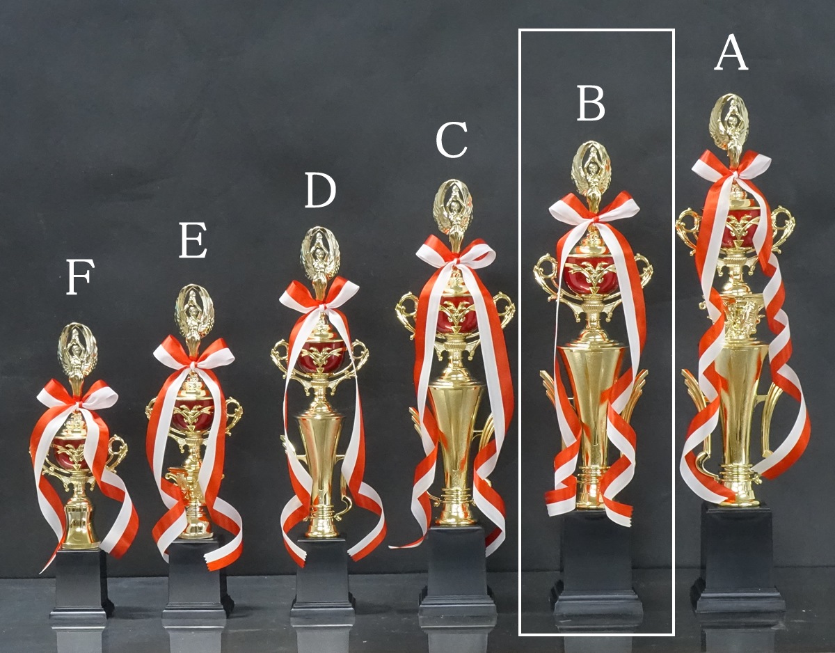 �ȥ��ե���(50.5cm���֡�MT925-44