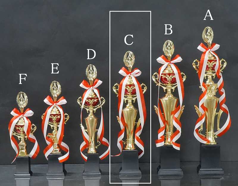 �ȥ��ե���(46.5cm���֡�MT924-43