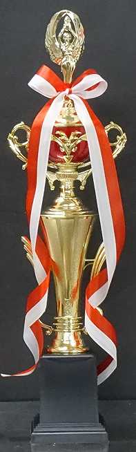 �ȥ��ե���(46.5cm���֡�MT924-43