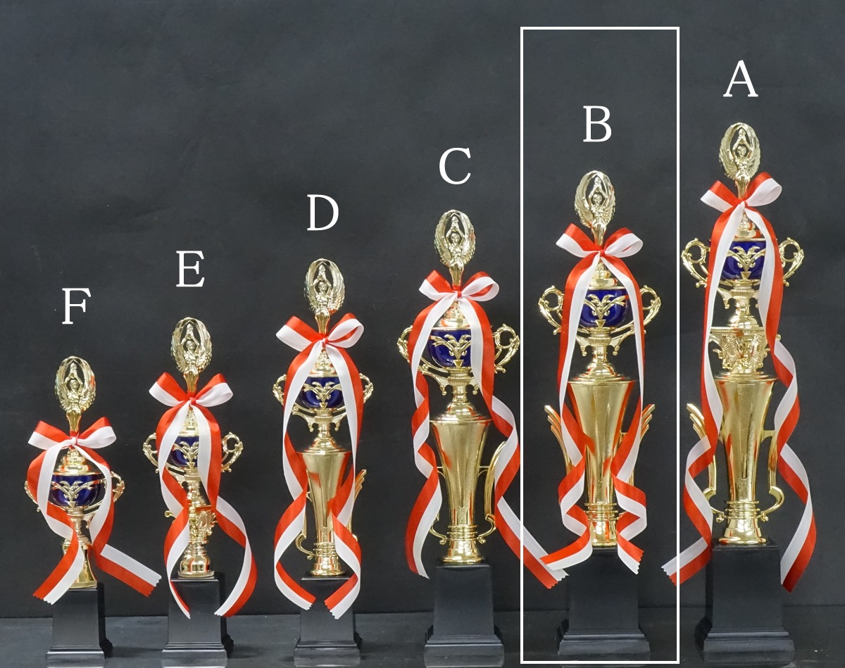 �ȥ��ե���(50.5cm���ġ�MT935-44