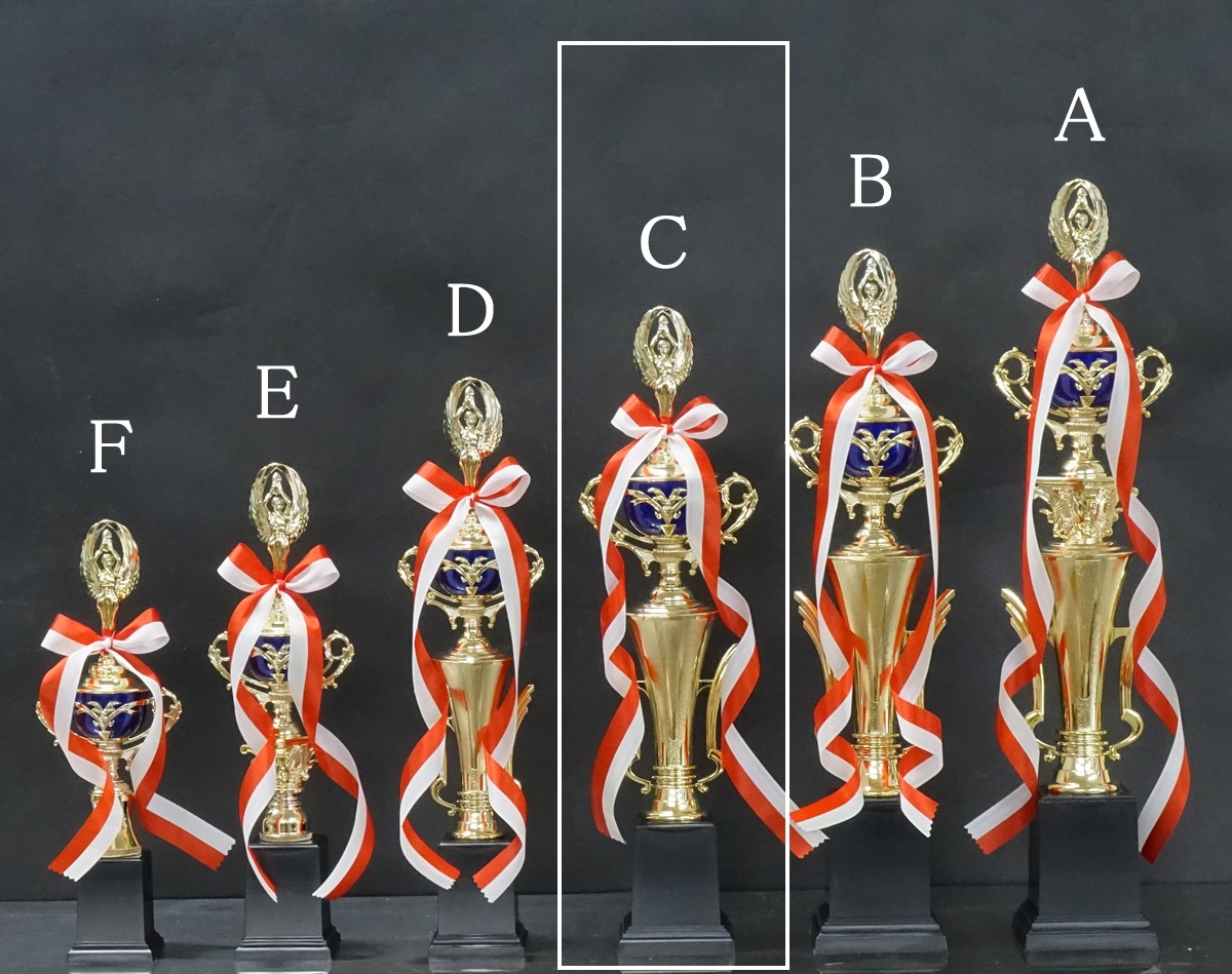 �ȥ��ե���(46.5cm���ġ�MT934-43