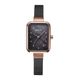 BERING�ʥ١���󥰡ˡ����ܸ����Classic Petite Collection Brown��14520-265-J��