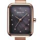 BERING�ʥ١���󥰡ˡ����ܸ����Classic Petite Collection Brown��14520-265-J��