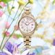 SEIKO LUKIA�ʥ륭���ˡڸ���700�ܡ�Grow ���������륭�� 30��ǯ��ǰ edenworks ����� ���ȥ����顼��SSQW094��