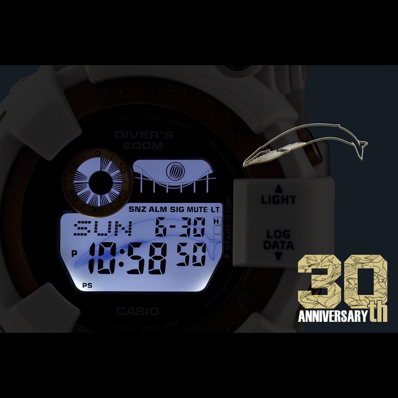 CASIO G-SHOCK�ʥ�������å��ˡڸ����MASTER OF G FROGMAN ICERC Japan ����ܥ졼����� 2024 �������ǥ� �ǥ����� �����顼��GW-8201K-7JR��