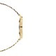 DANIEL WELINGTONʥ˥륦ȥPETITE EVERGOLD BLACK 36mm ɡڥХɥ顼 ɡۡDW00100345