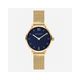 PAUL HEWITT�ʥݡ���ҥ塼���åȡ� Sailor Line Modest �֥롼�饰���� / ������ɥ�å��� 28mm ��ǥ����� ��PH-SA-G-XS-B-45S��